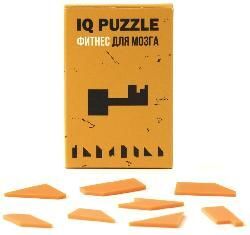 Головоломка IQ Puzzle, ключ 12108.05 с логотипом заказать, фото
