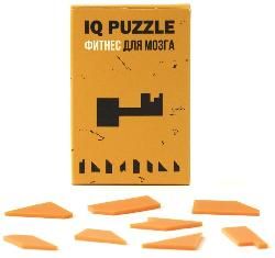 Головоломка IQ Puzzle, ключ 12108.05 с логотипом заказать, фото