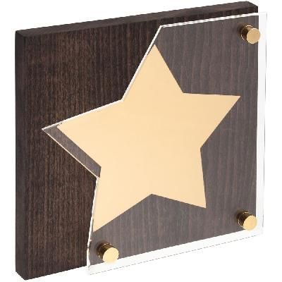 Награда Asteri Dark Gold 642.00 оптом на заказ, фото