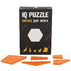 Головоломка IQ Puzzle Figures, шестиугольник 12110.06 с логотипом заказать, фото