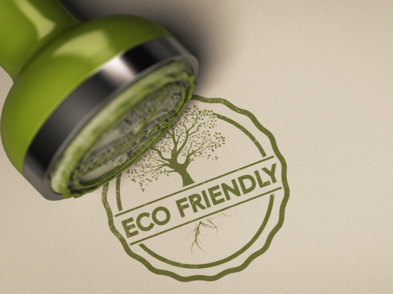 Эко-перезагрузка: как перевести офис на многоразовые решения после праздников