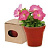 Горшочек для выращивания Петунии с семенами (5-8шт) ADVERT 349966 с логотипом на заказ, фото